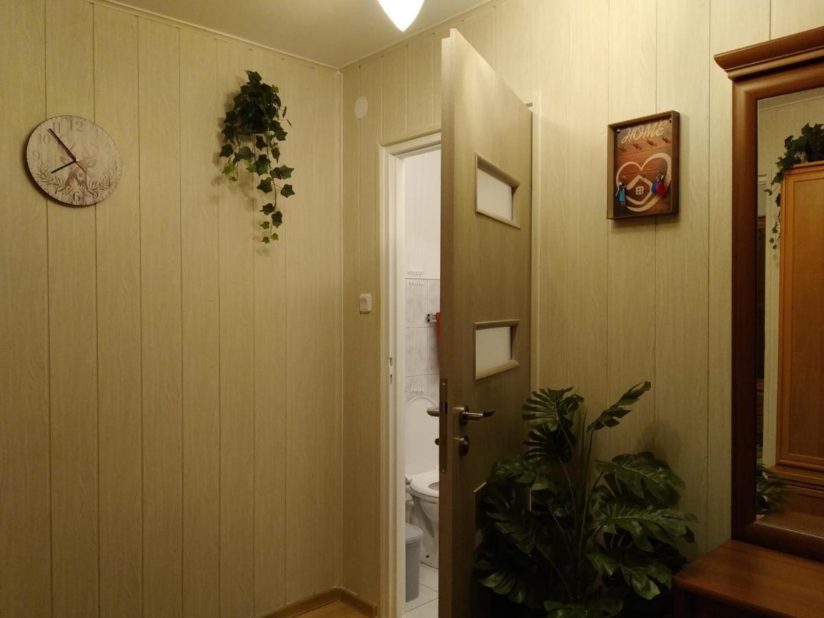 Mieszkanie W Centrum Chelma 外观 照片